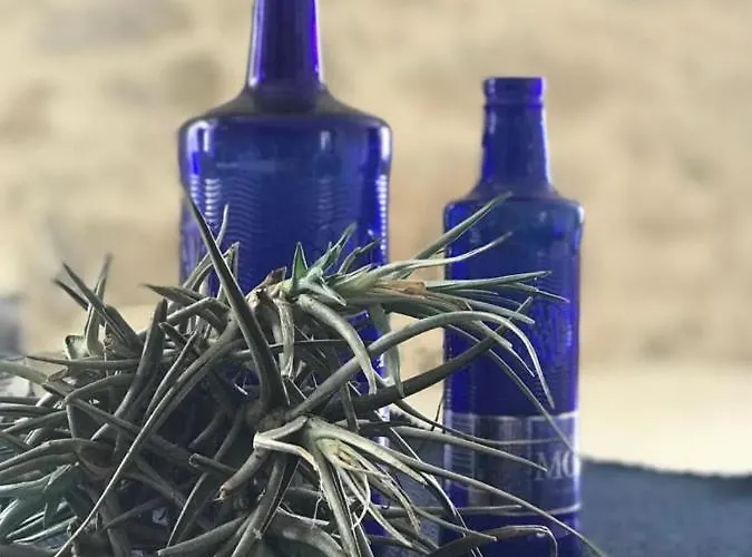 Quinta Bogesi Bed & Breakfast