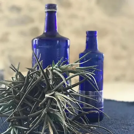 Quinta Bogesi לינה וארוחת בוקר