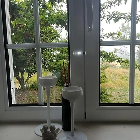 Quinta Bogesi