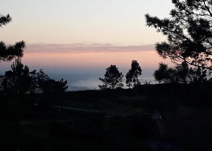 Quinta Bogesi 4* 피게이라다포즈